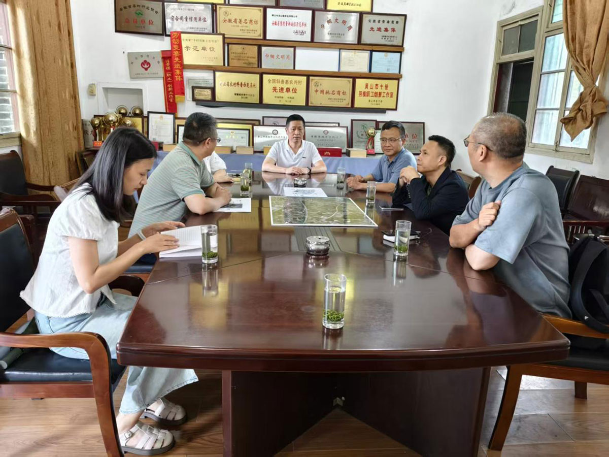 江蘇外聯(lián)采考察團(tuán)到實(shí)驗(yàn)茶場(chǎng)考察，共商茶產(chǎn)業(yè)合作新藍(lán)圖